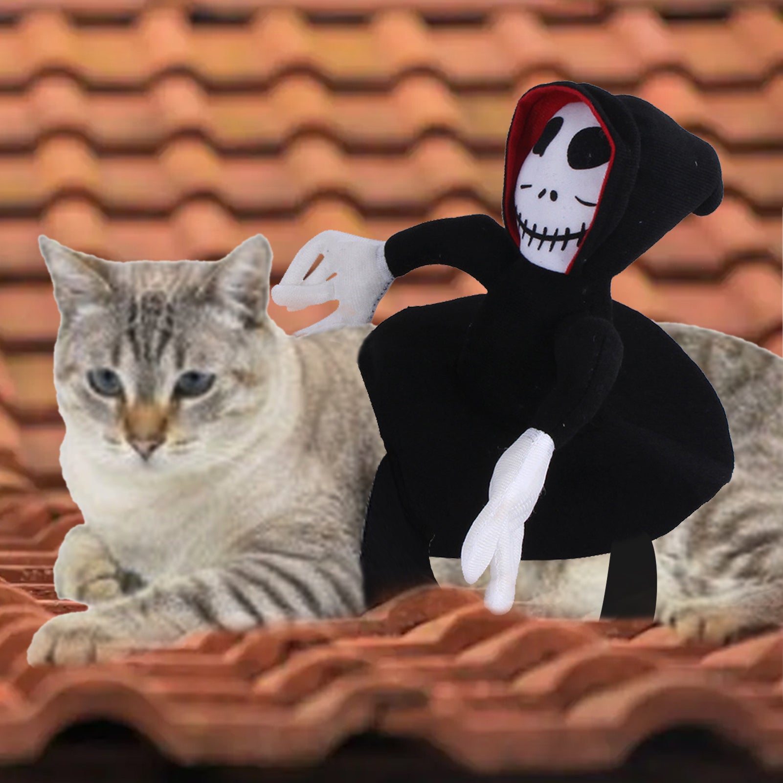 Halloween Goblin-Rider Pet Costume