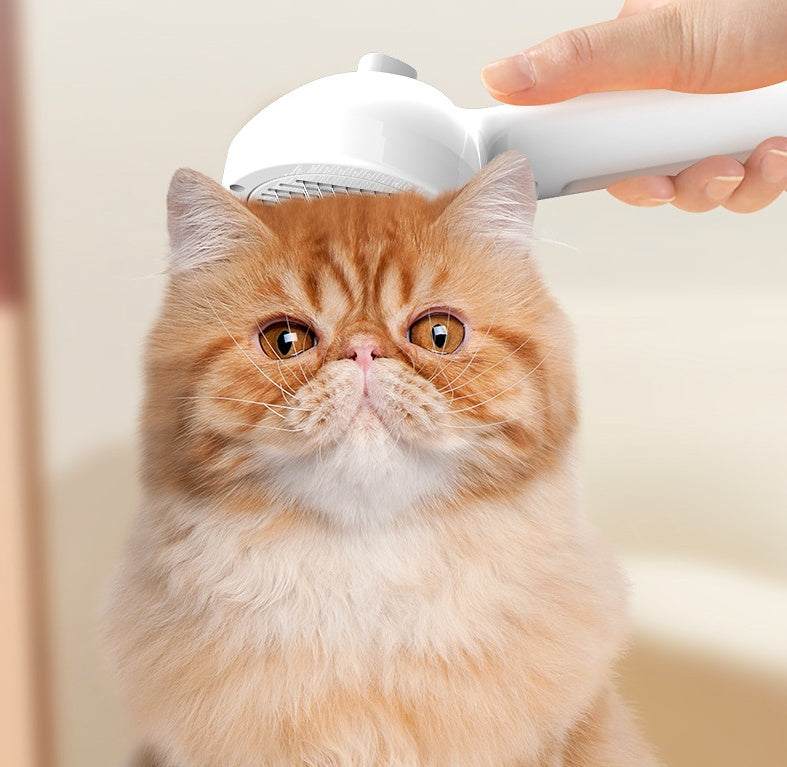 Self-Cleaning Pet Slicker Brush with Mister