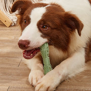 Dog Teeth-Cleaning Chew Toy