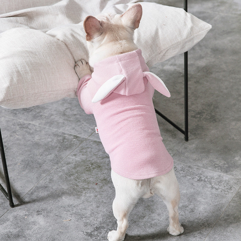 Spring/Autumn Pet Sweater