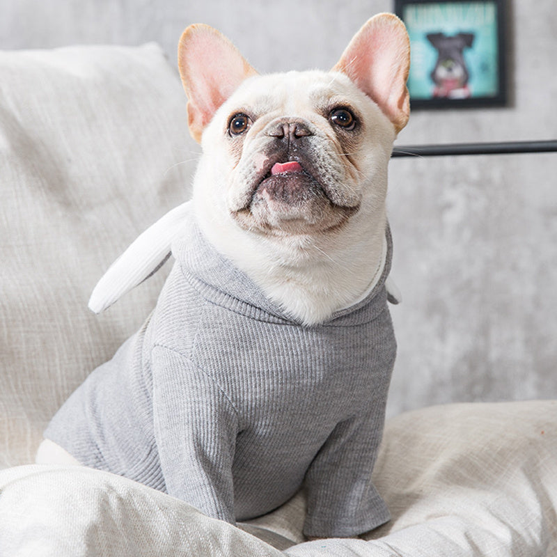 Spring/Autumn Pet Sweater
