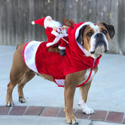 Christmas Reindeer-Rider Pet Costume