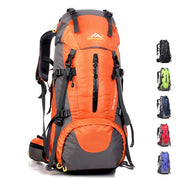 Nylon Mountaineering Travel Backpack