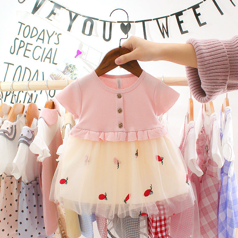 Baby Princess Birthday Mesh Dress