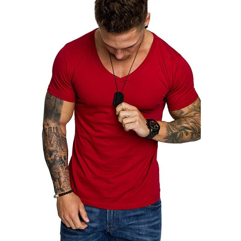 Men's Plus-Size V-Neck Sport Tee