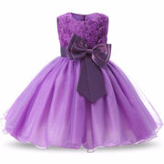 Flower Girl Tutu Wedding Dress