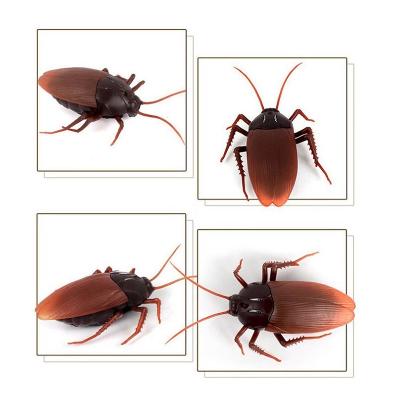 Remote Control Cockroach Prank Toy
