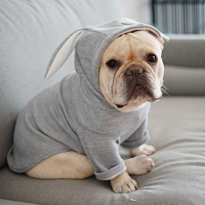 Spring/Autumn Pet Sweater