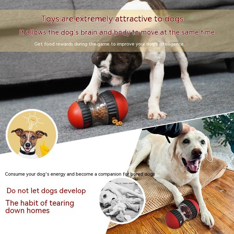 Tumbler Treat Dispensing Dog Toy