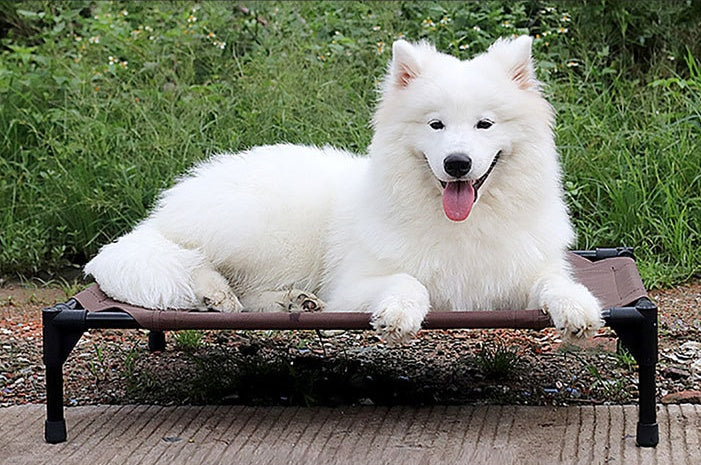 Oxford Cloth Elevated Dog Camp Bed