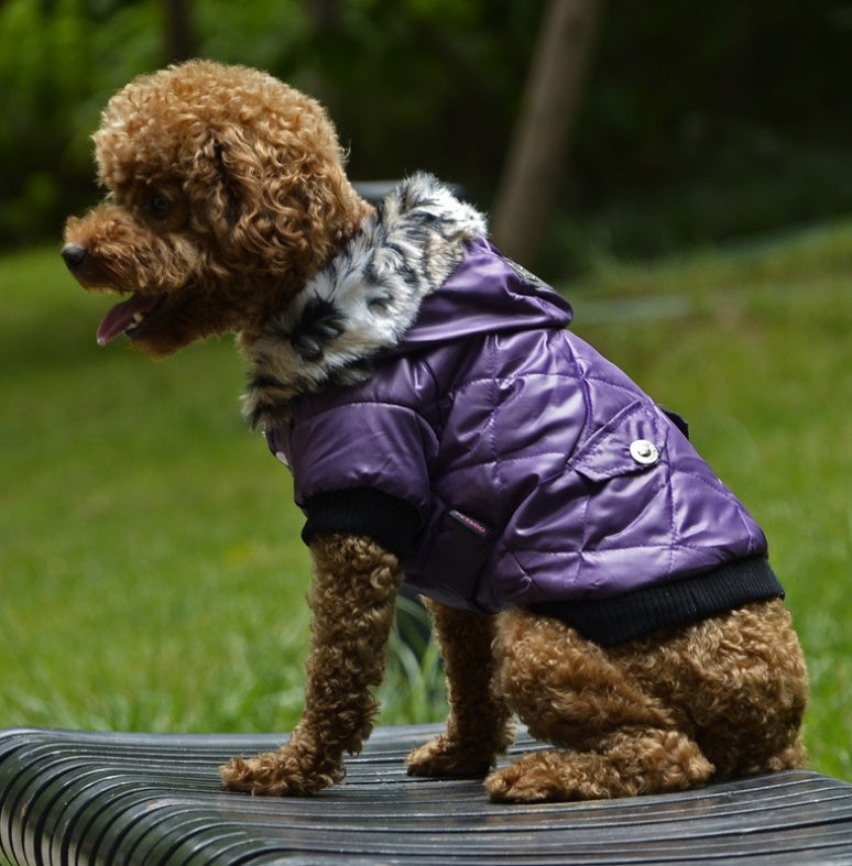 Pet Dog Fur-Collar Coat — Autumn / Winter