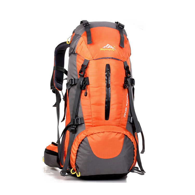 Nylon Mountaineering Travel Backpack