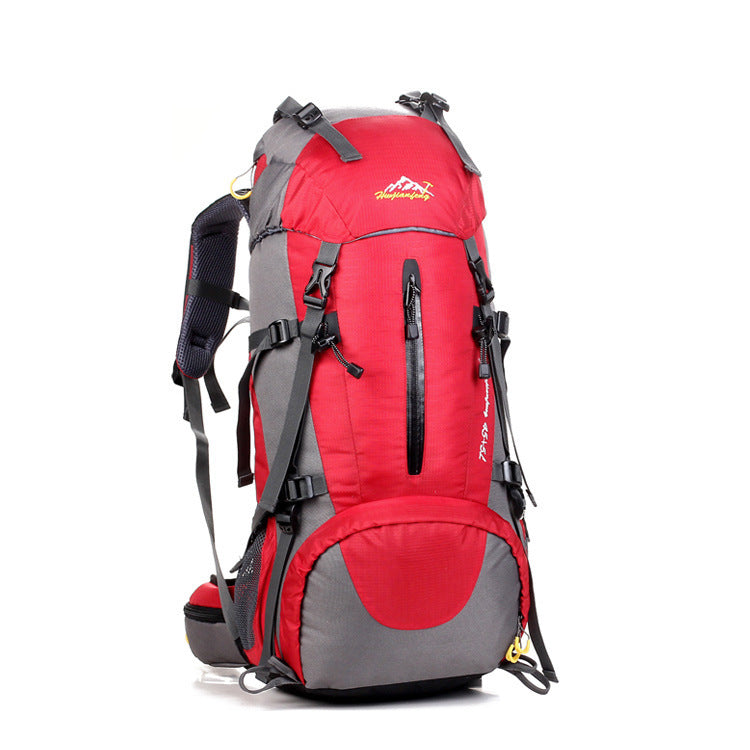 Nylon Mountaineering Travel Backpack