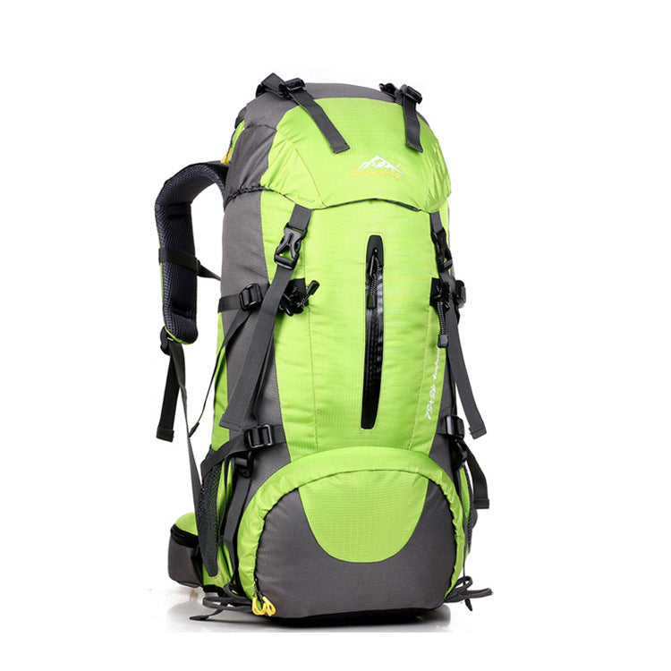 Nylon Mountaineering Travel Backpack