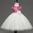 new European girls retro lace dress baby dress skirts wholesale baby full moon4