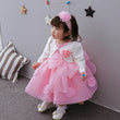 The Spring And Summer Of Years Old Female Infant Baby Child Princess Dress Girls DressPink Flower Girl Dress Skirt