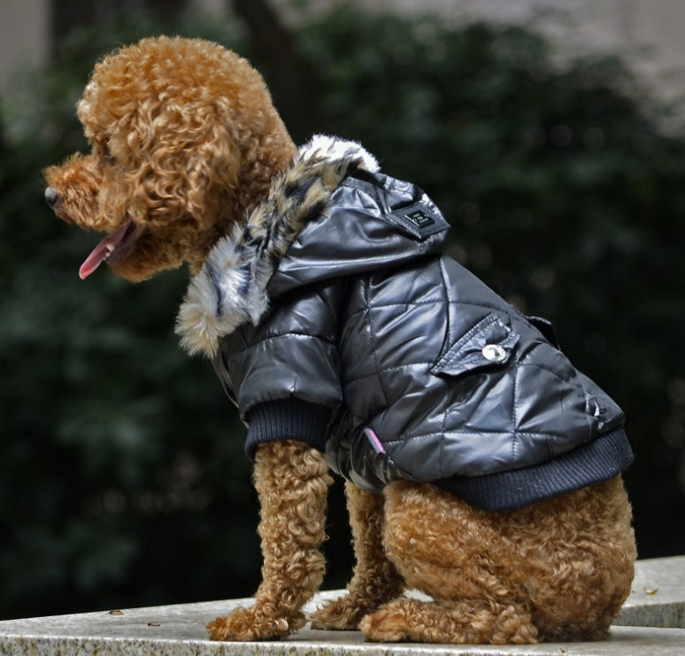 Pet Dog Fur-Collar Coat — Autumn / Winter
