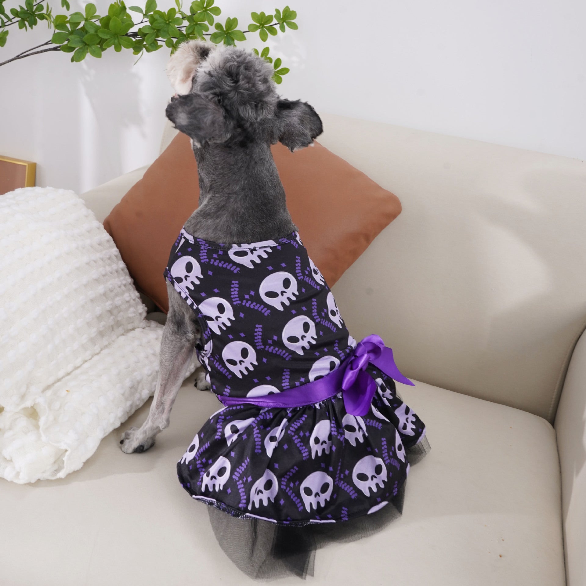 Halloween Pet Skull Cape