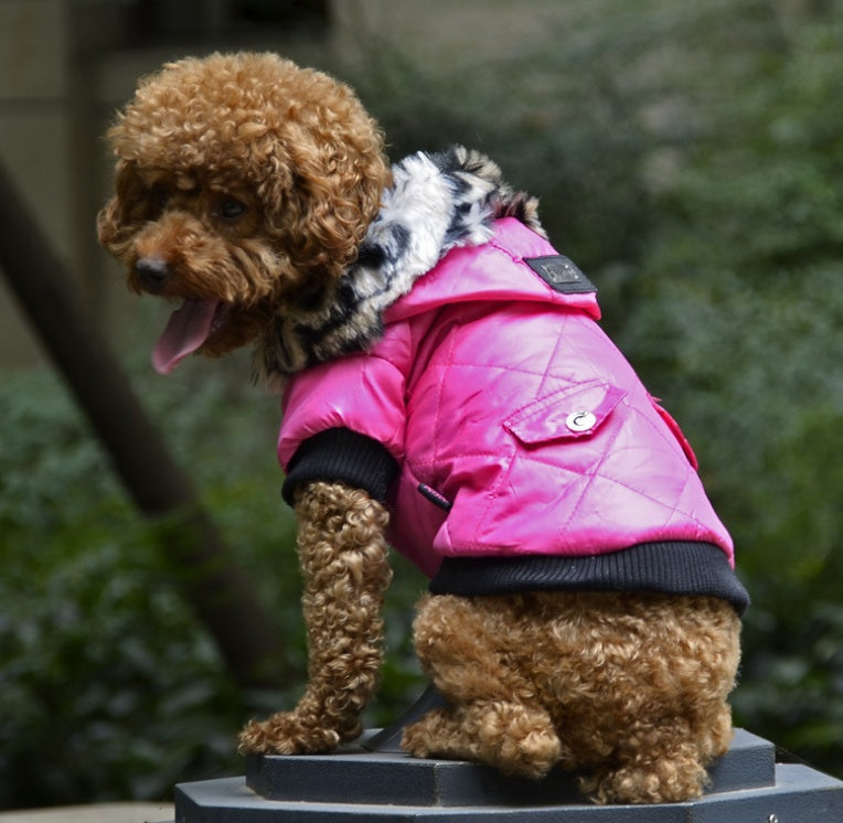 Pet Dog Fur-Collar Coat — Autumn / Winter