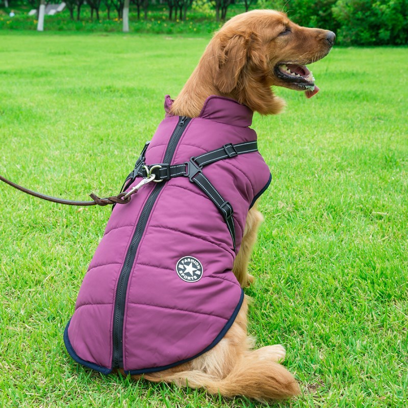 Waterproof Cotton Dog Vest