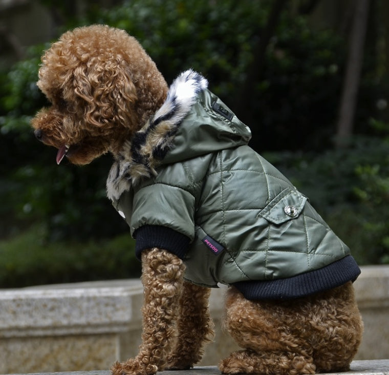 Pet Dog Fur-Collar Coat — Autumn / Winter