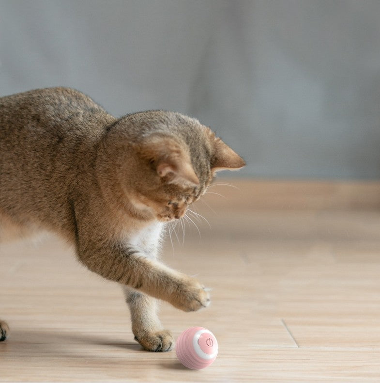 Smart Self-Bouncing Cat Ball Toy