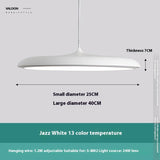 Nordic Modern Simple LED Chandelier Restaurant Chandelier Designer Chandelier