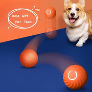 Bite-Resistant Rubber Dog Ball