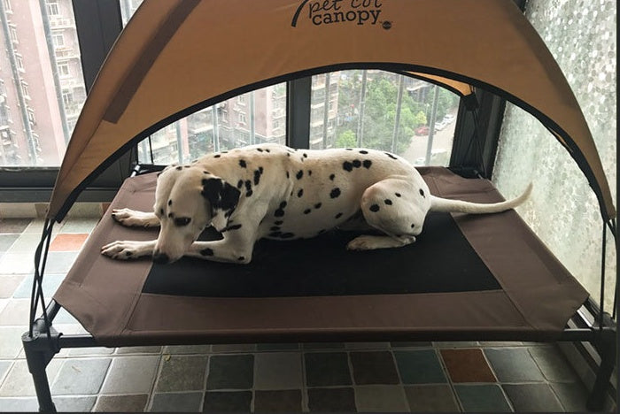 Oxford Cloth Elevated Dog Camp Bed