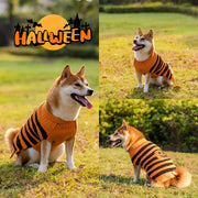 Halloween Pet Pumpkin Sweater