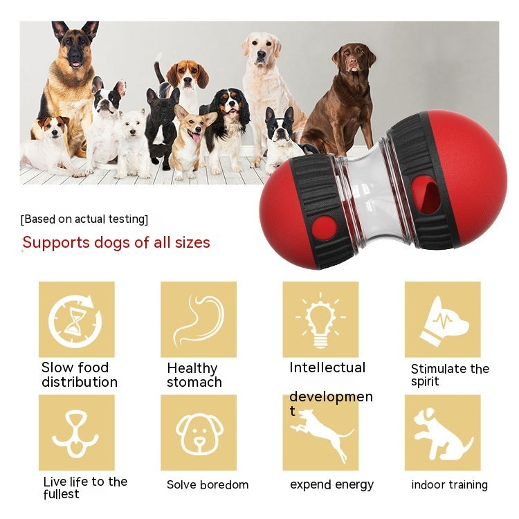 Tumbler Treat Dispensing Dog Toy