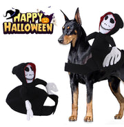 Halloween Goblin-Rider Pet Costume