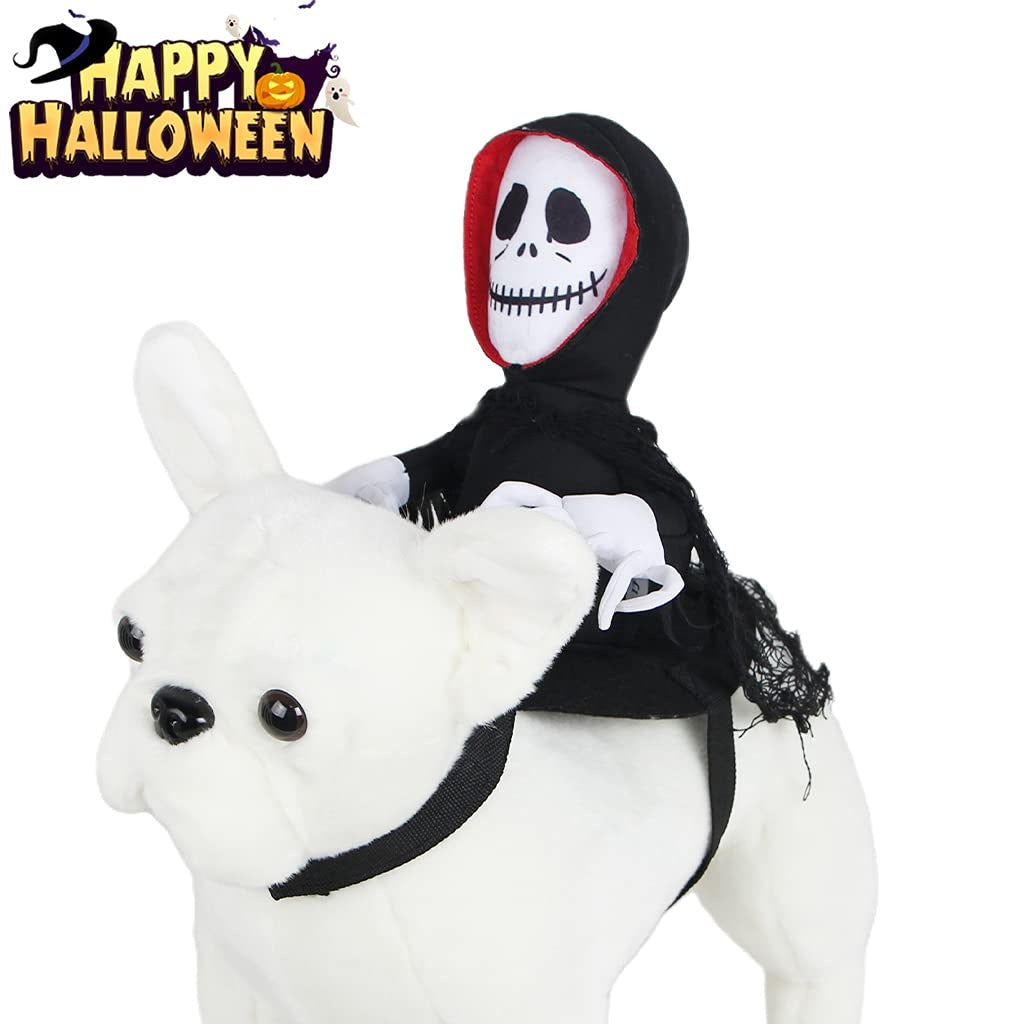 Halloween Goblin-Rider Pet Costume