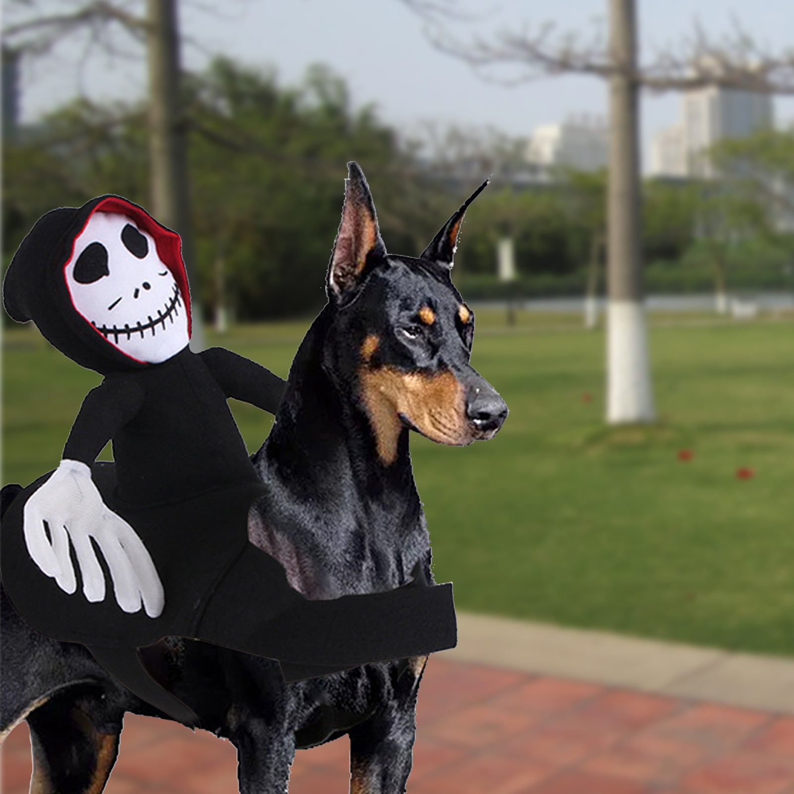 Halloween Goblin-Rider Pet Costume