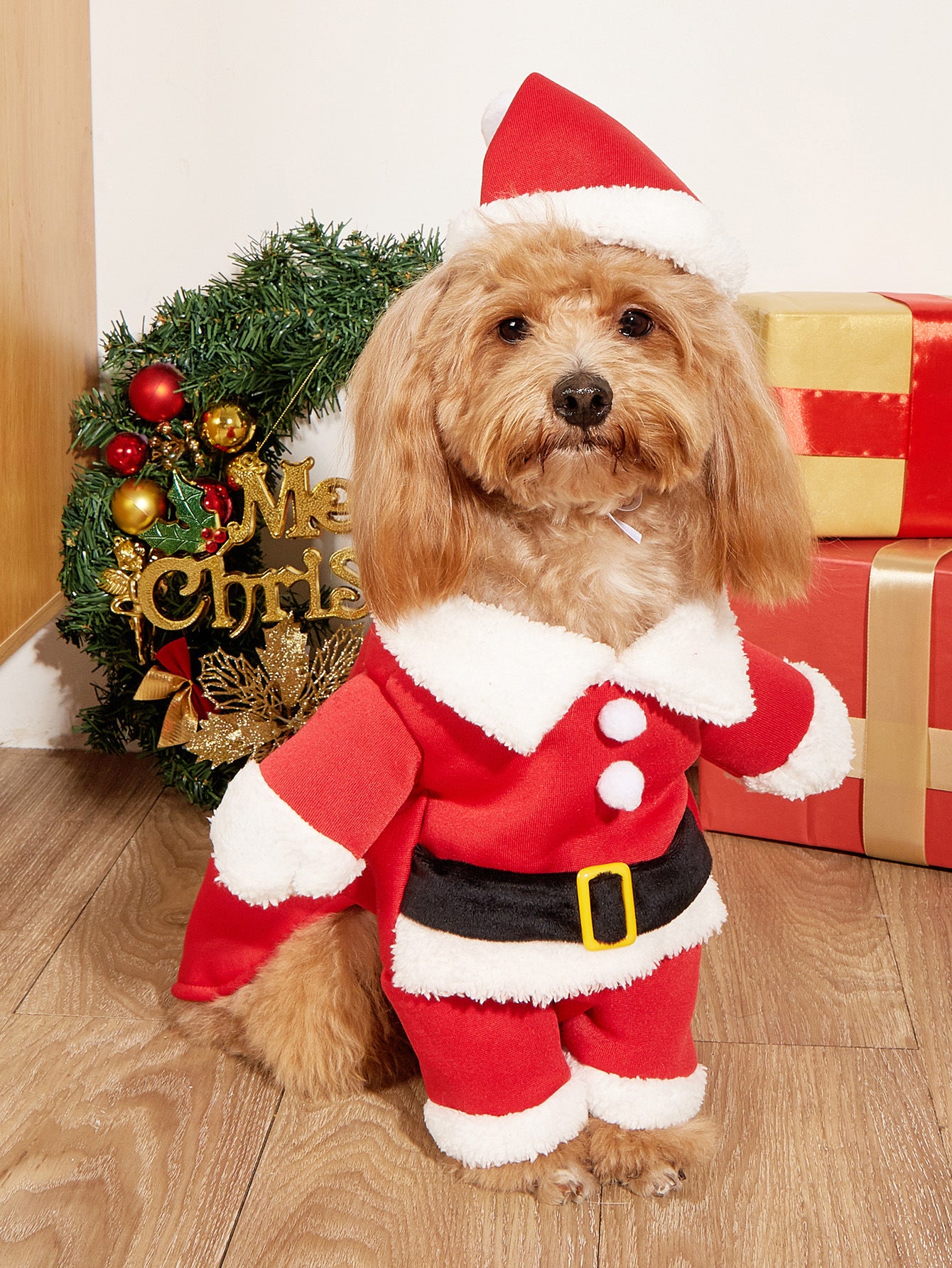 Christmas Pet Costume Set with Hat