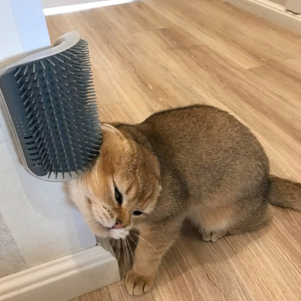 Wall-Mount Cat Self-Grooming Brush with Catnip